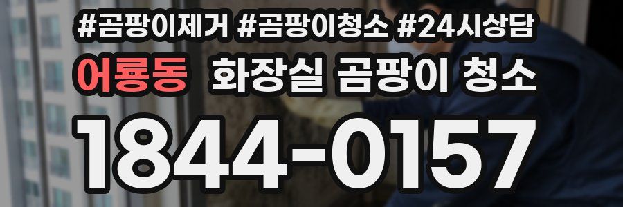 어룡동 화장실 곰팡이 청소