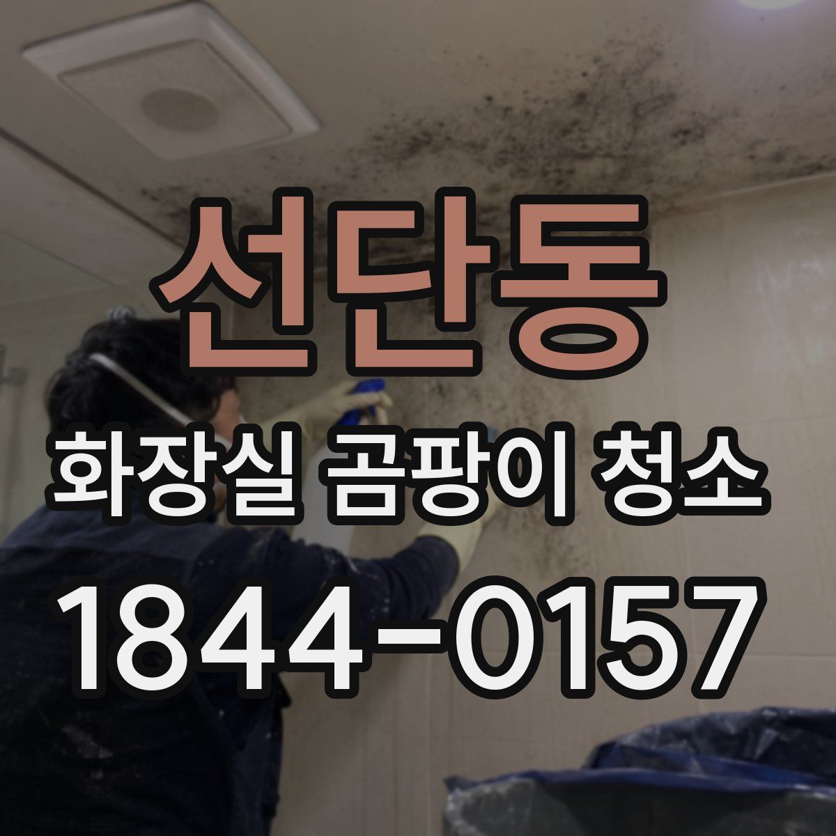 선단동 화장실 곰팡이 청소
