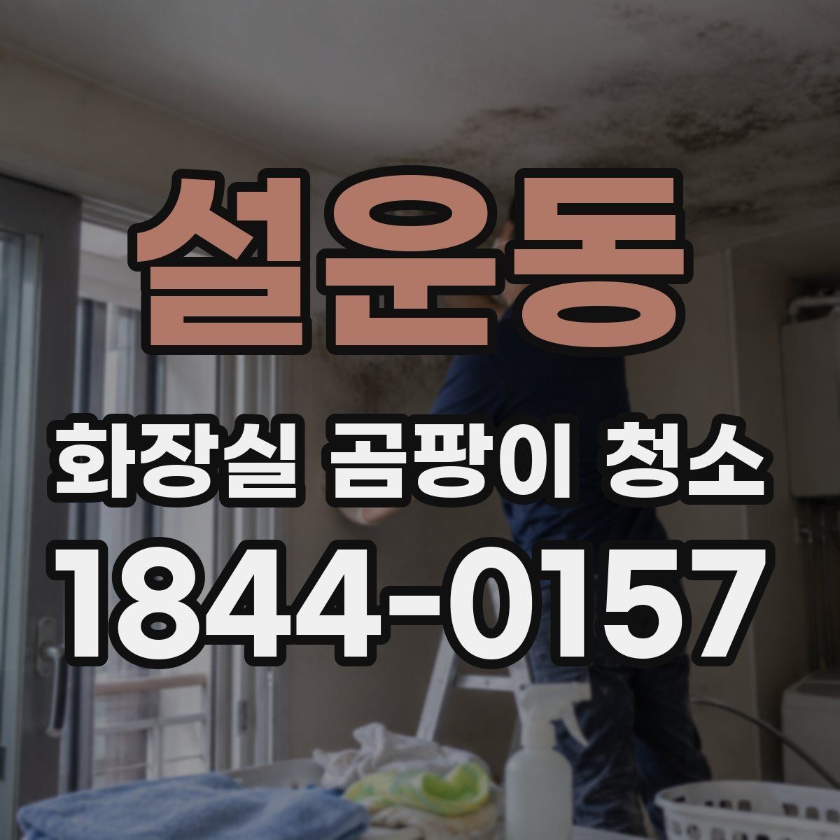 설운동 화장실 곰팡이 청소 천장과 모서리까지 놓치지 않는 점검 포인트