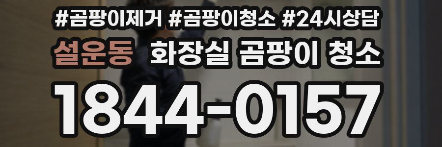 설운동 화장실 곰팡이 청소