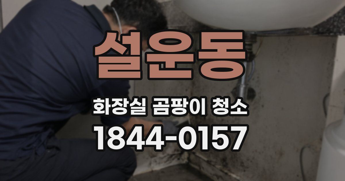설운동 화장실 곰팡이 청소