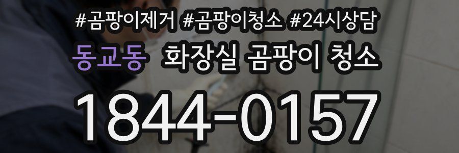 동교동 화장실 곰팡이 청소