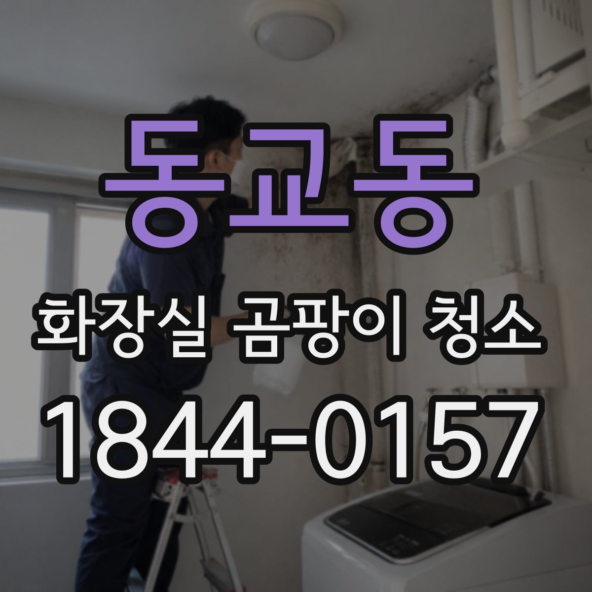 동교동 화장실 곰팡이 청소