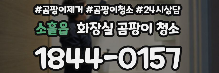 소흘읍 화장실 곰팡이 청소
