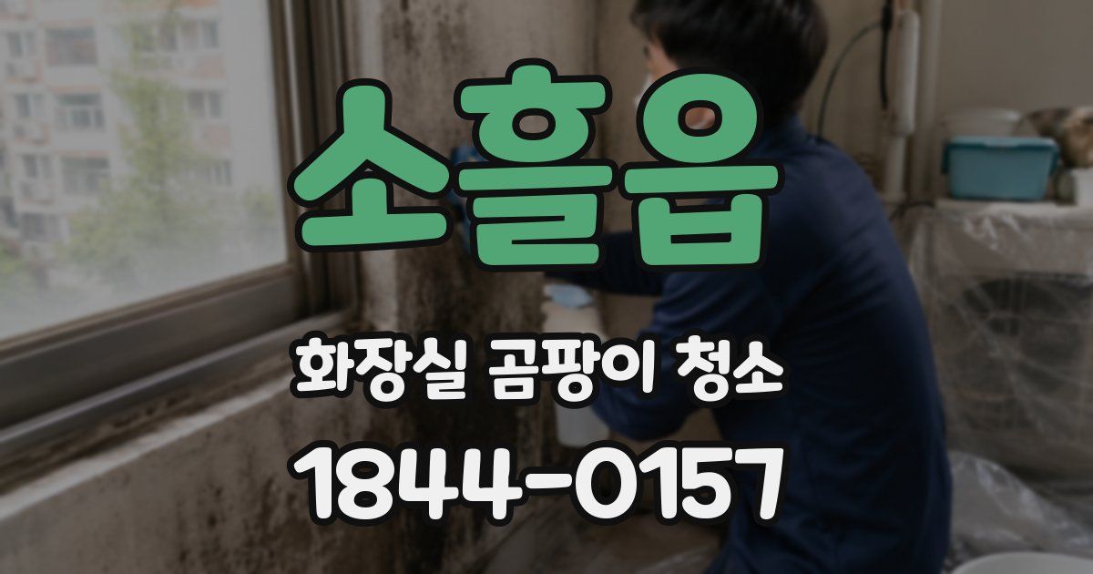 소흘읍 화장실 곰팡이 청소