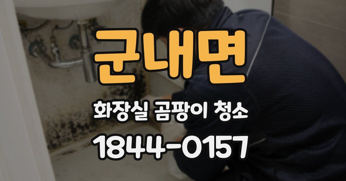 군내면 화장실 곰팡이 청소