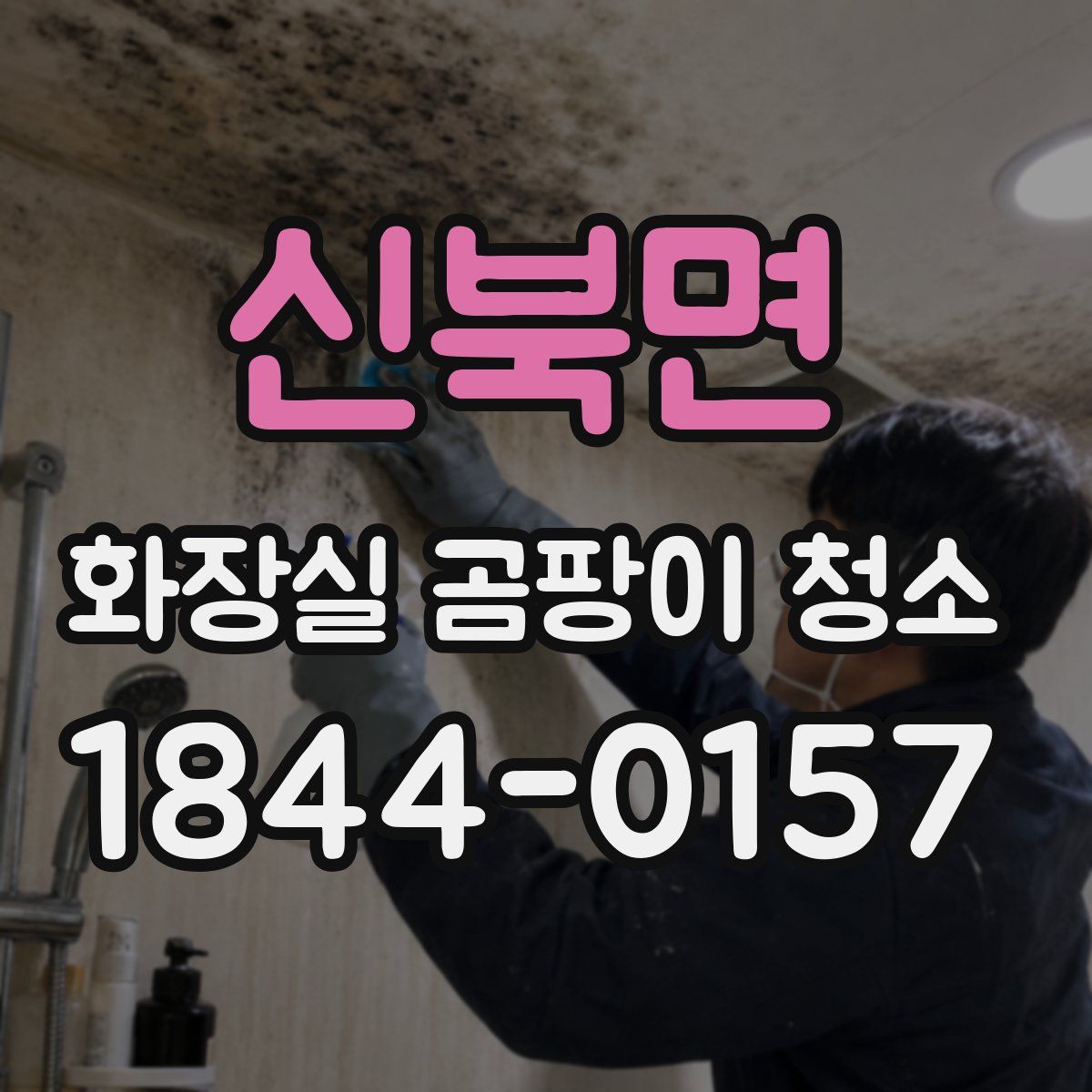 신북면 화장실 곰팡이 청소