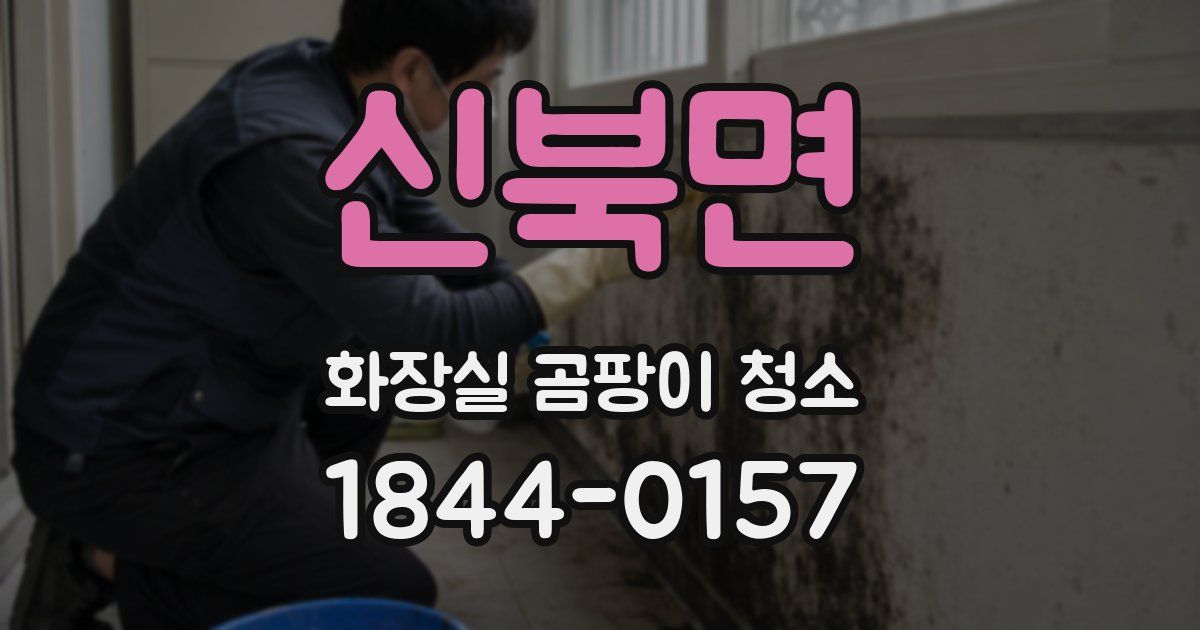신북면 화장실 곰팡이 청소