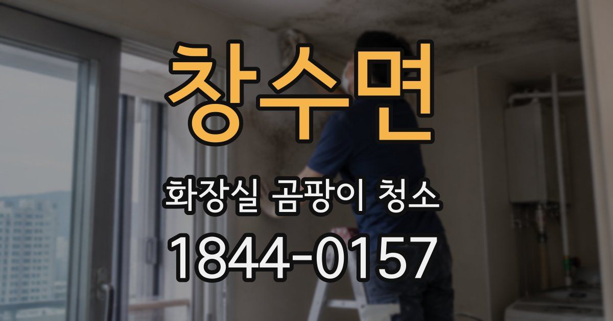 창수면 화장실 곰팡이 청소