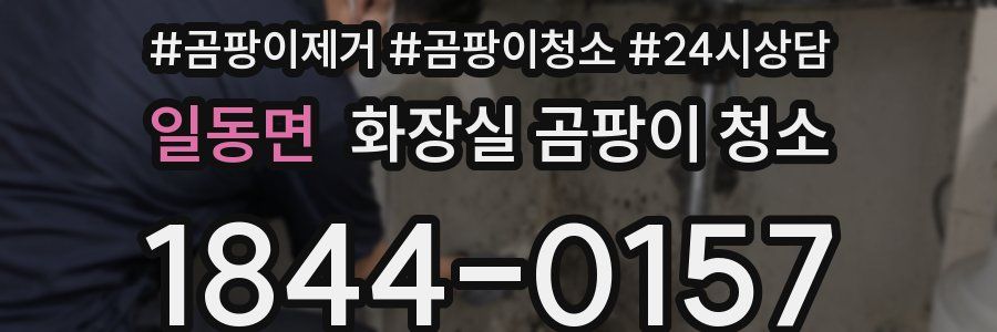 일동면 화장실 곰팡이 청소