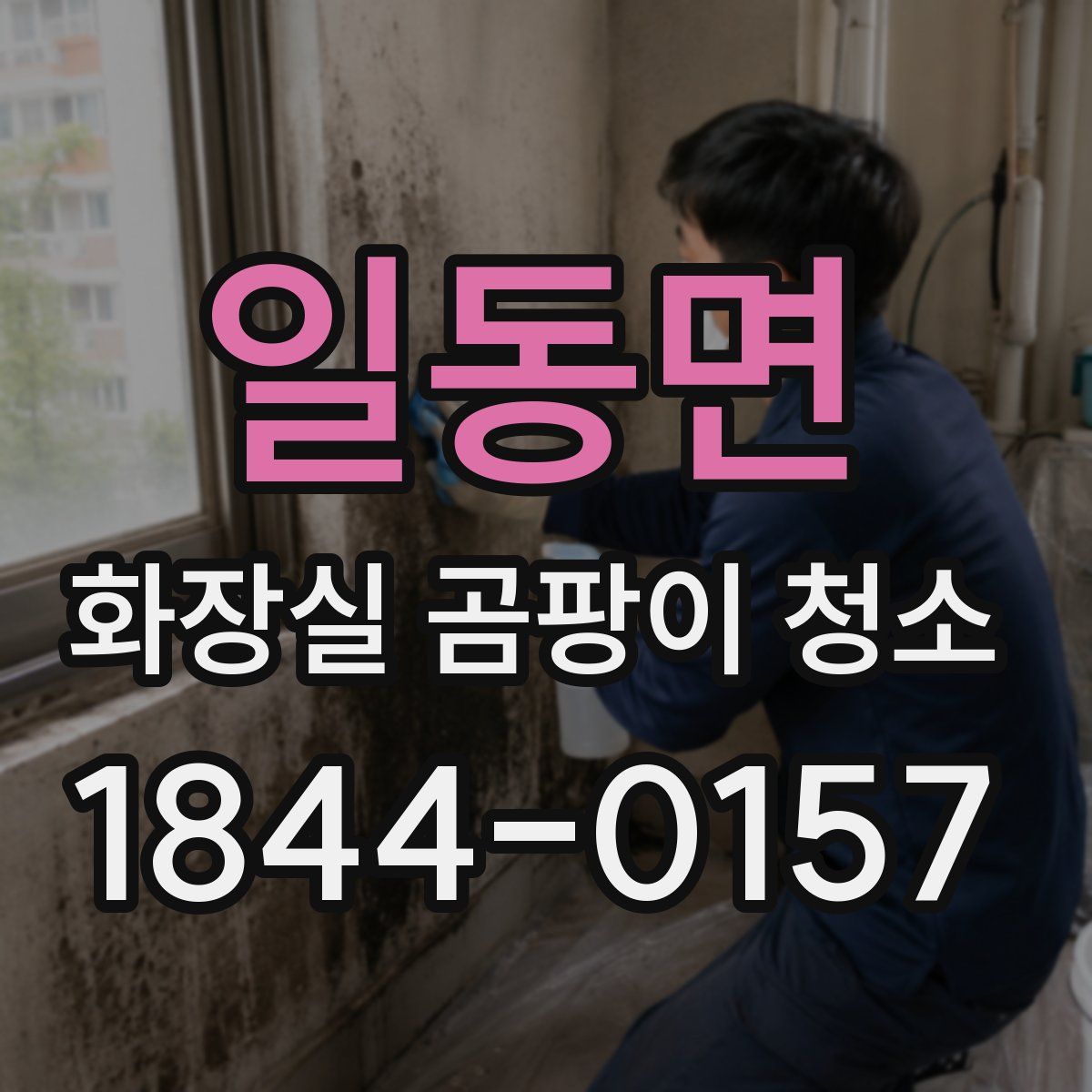 일동면 화장실 곰팡이 청소