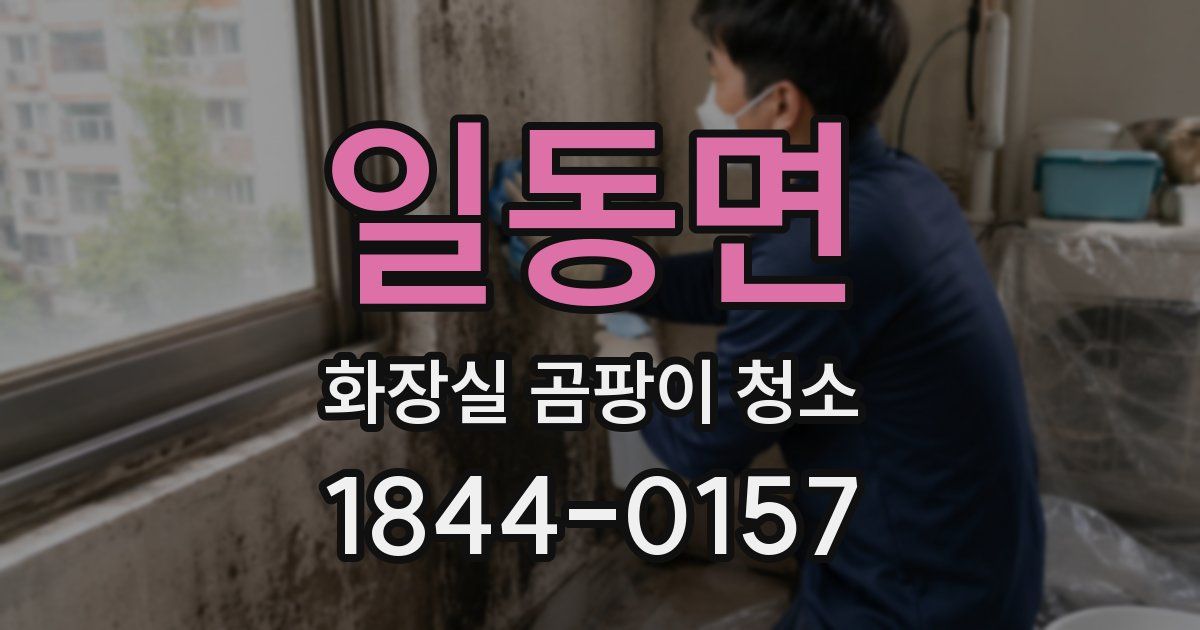 일동면 화장실 곰팡이 청소