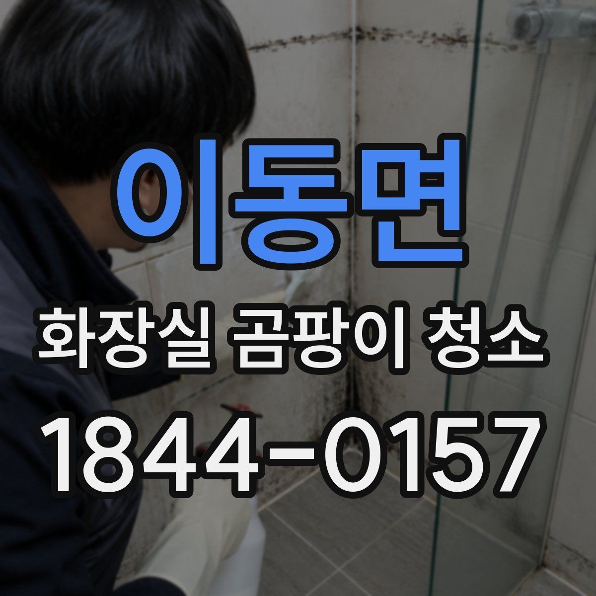 이동면 화장실 곰팡이 청소 부분 청소로도 충분한 구간을 가르는 기준