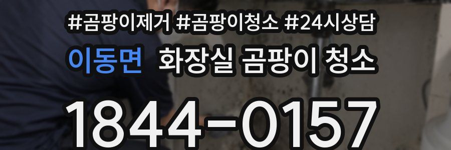 이동면 화장실 곰팡이 청소