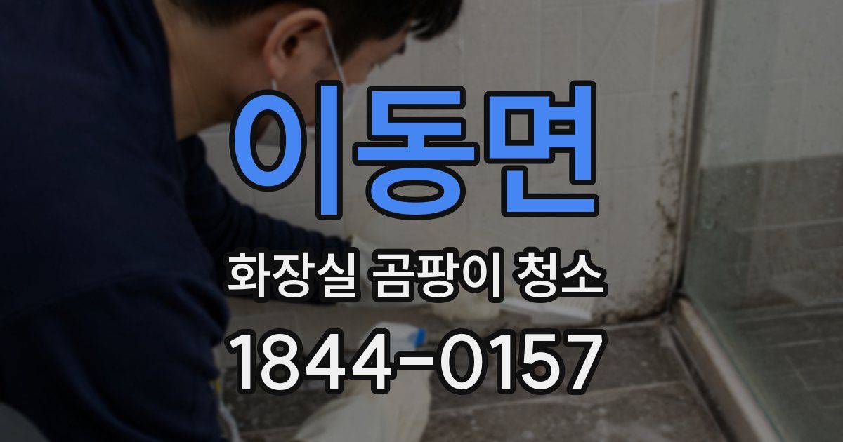 이동면 화장실 곰팡이 청소