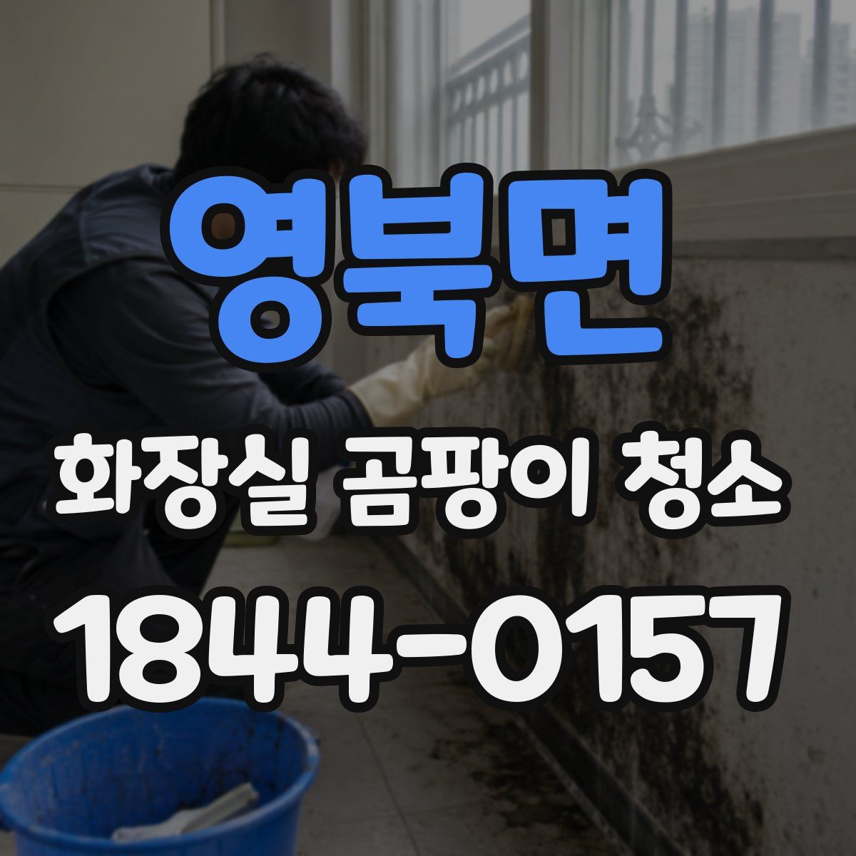 영북면 화장실 곰팡이 청소
