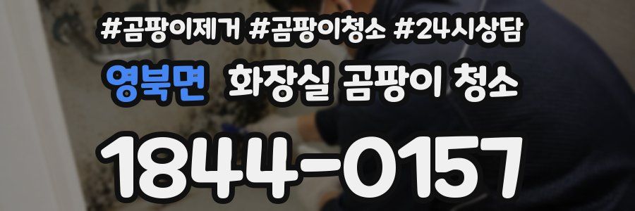 영북면 화장실 곰팡이 청소
