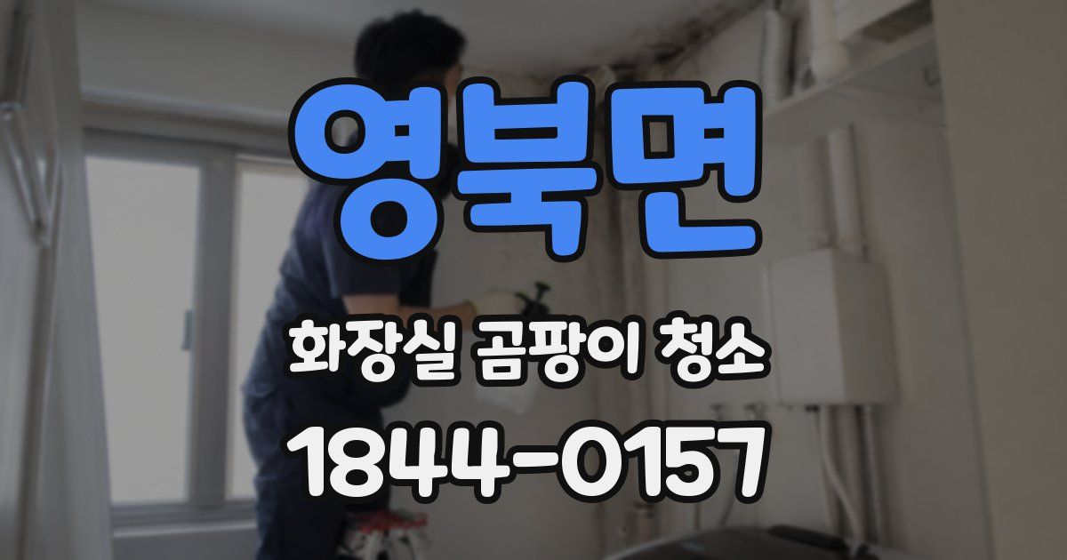 영북면 화장실 곰팡이 청소