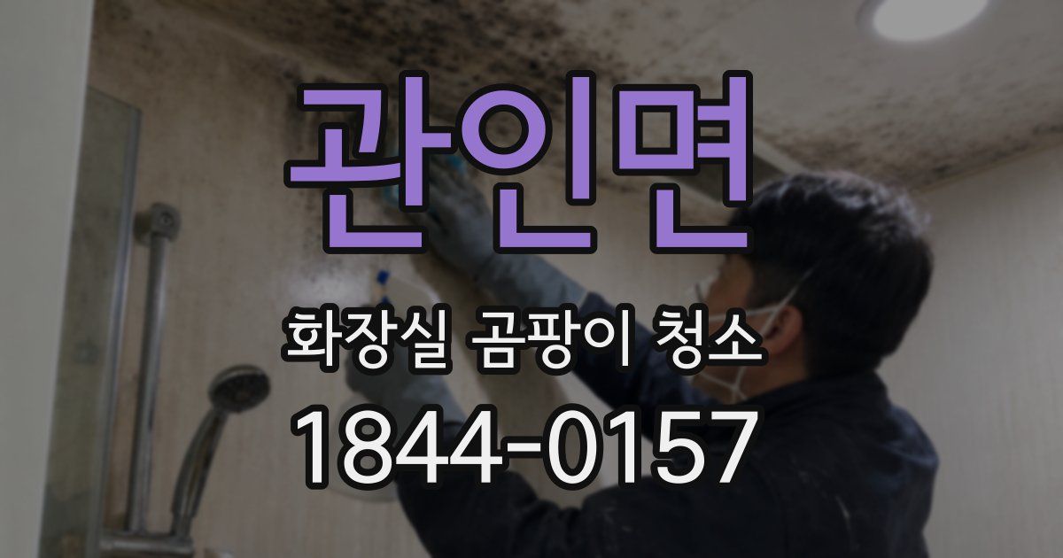 관인면 화장실 곰팡이 청소