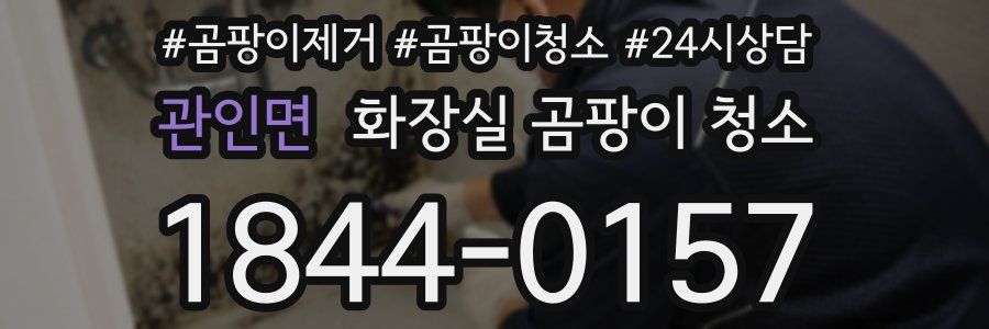 관인면 화장실 곰팡이 청소