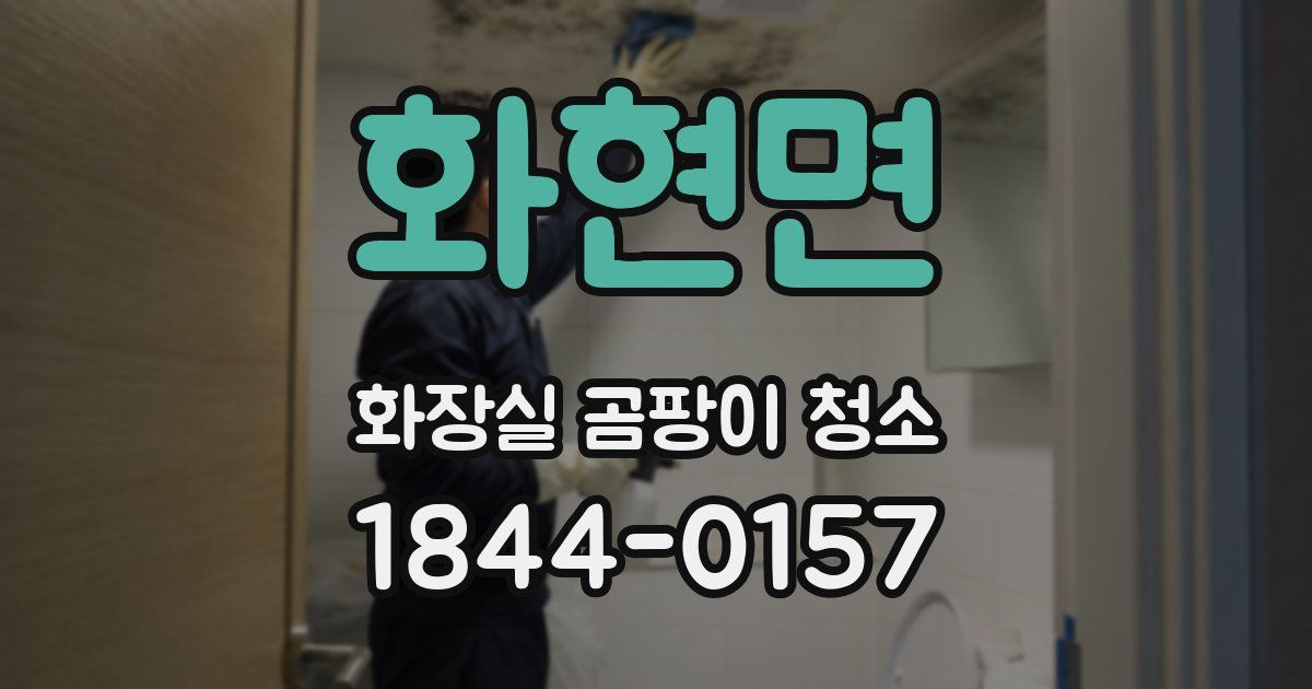 화현면 화장실 곰팡이 청소