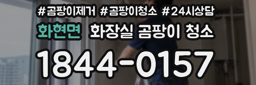 화현면 화장실 곰팡이 청소