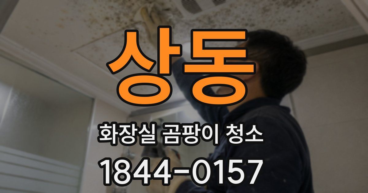 상동 화장실 곰팡이 청소