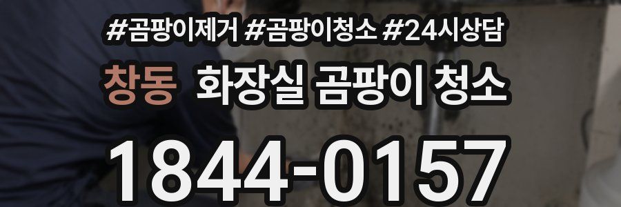 창동 화장실 곰팡이 청소