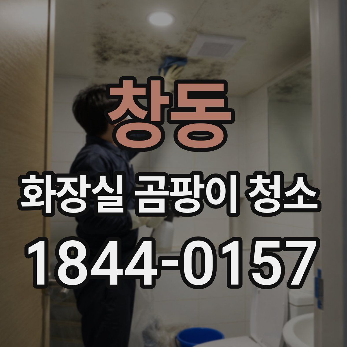 창동 화장실 곰팡이 청소