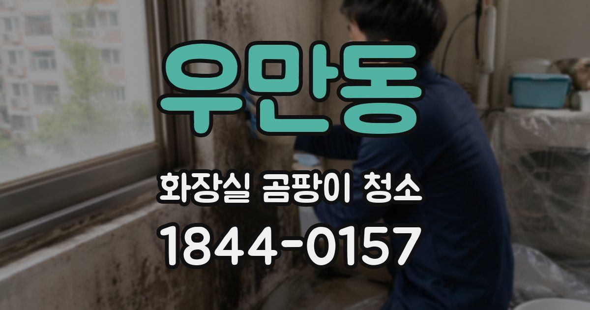 우만동 화장실 곰팡이 청소