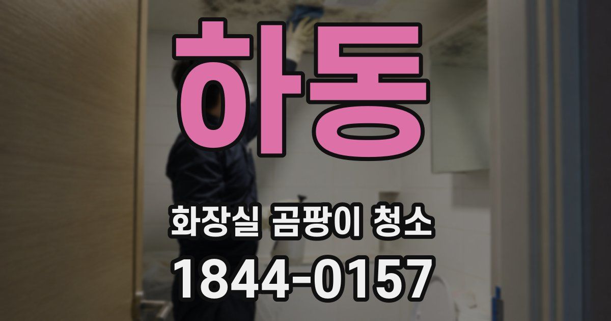하동 화장실 곰팡이 청소