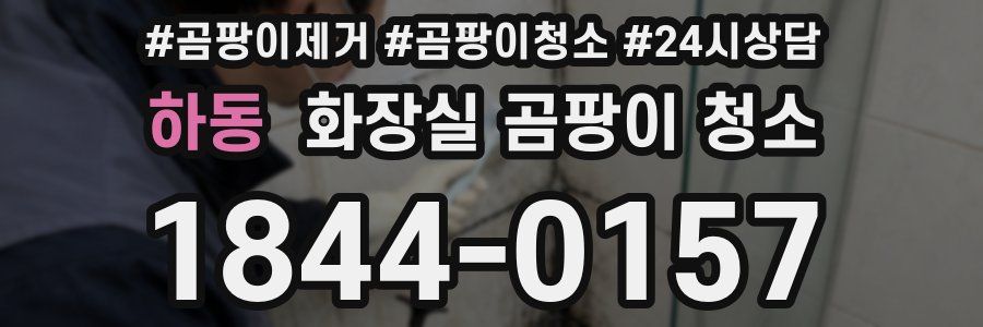 하동 화장실 곰팡이 청소