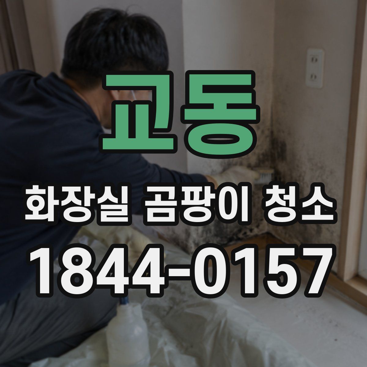 교동 화장실 곰팡이 청소