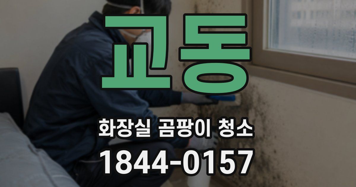 교동 화장실 곰팡이 청소