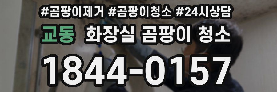 교동 화장실 곰팡이 청소