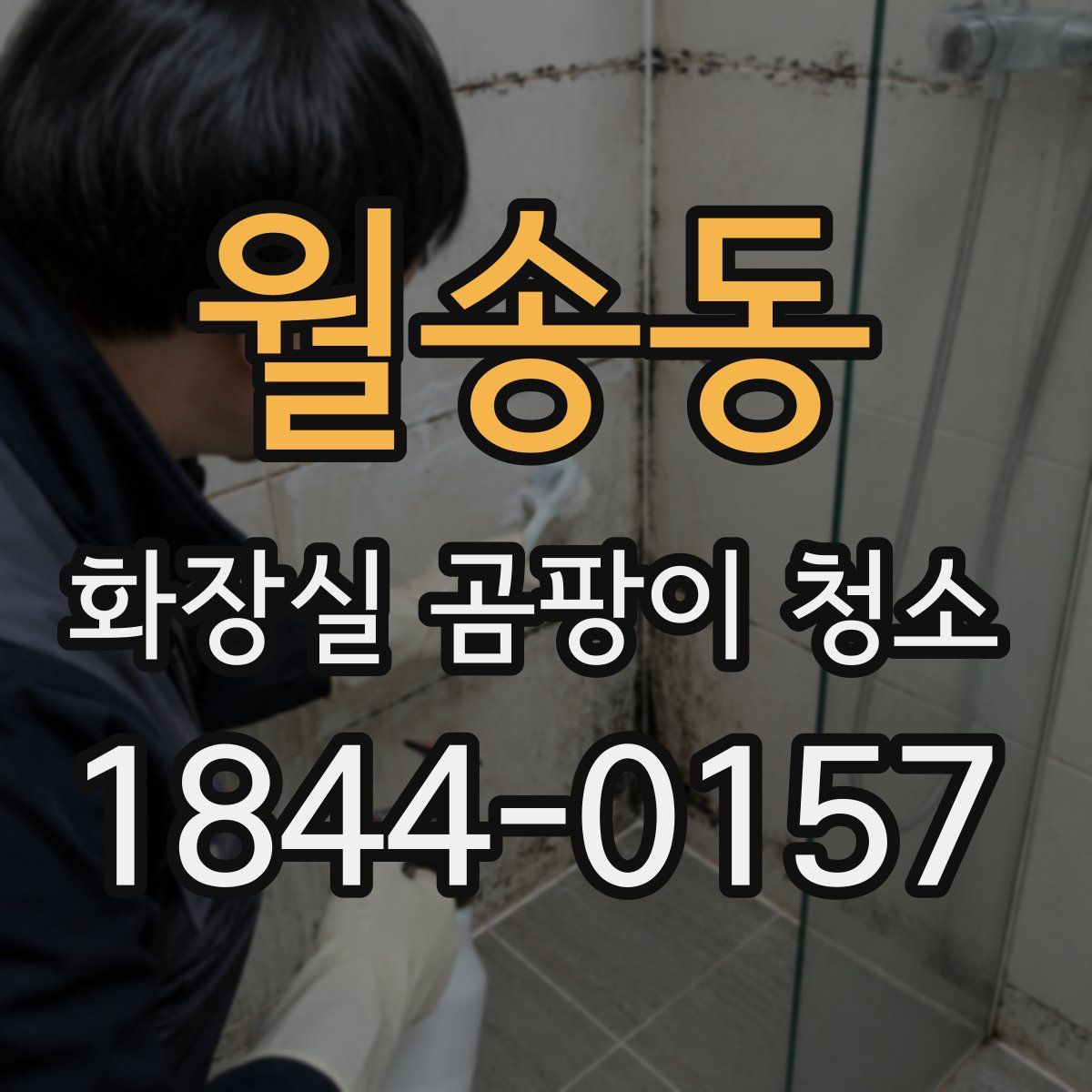 월송동 화장실 곰팡이 청소