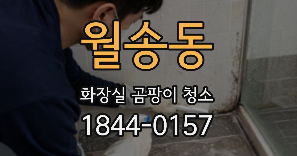 월송동 화장실 곰팡이 청소