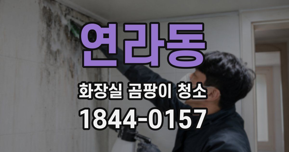 연라동 화장실 곰팡이 청소
