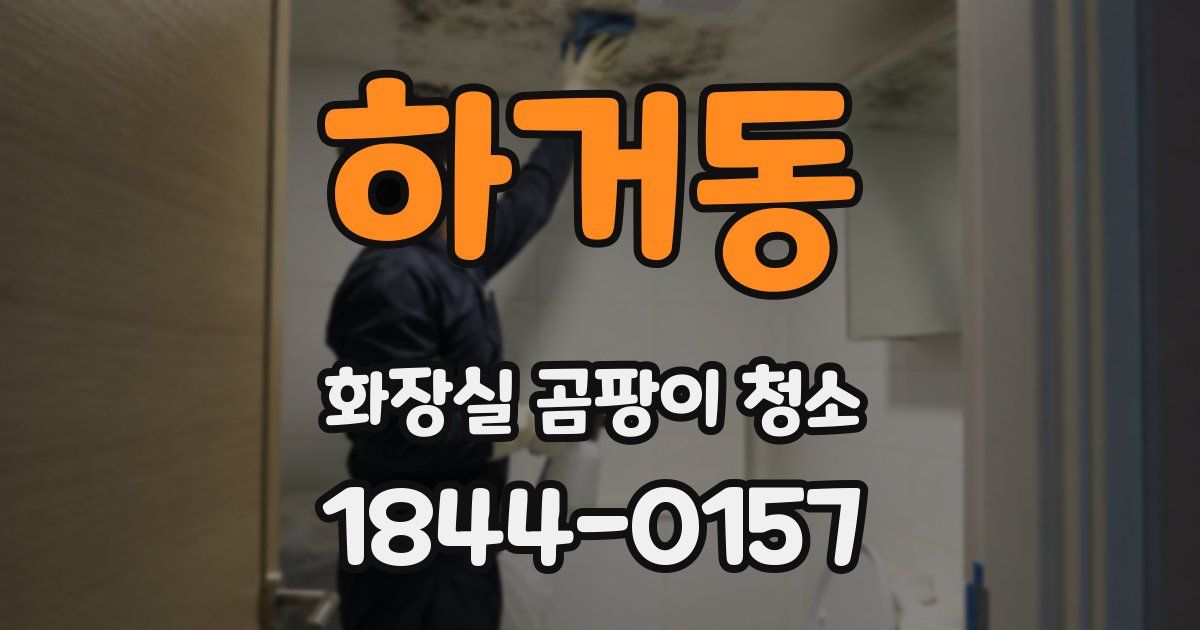 하거동 화장실 곰팡이 청소