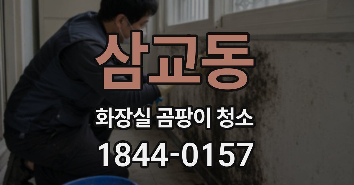 삼교동 화장실 곰팡이 청소