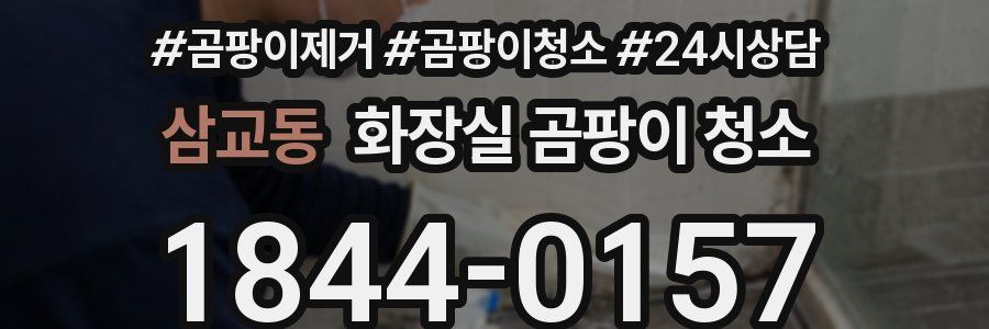 삼교동 화장실 곰팡이 청소