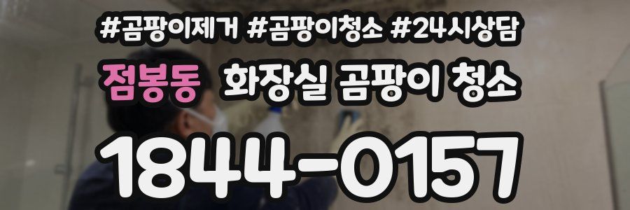 점봉동 화장실 곰팡이 청소