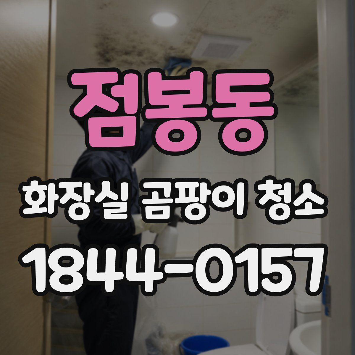 점봉동 화장실 곰팡이 청소