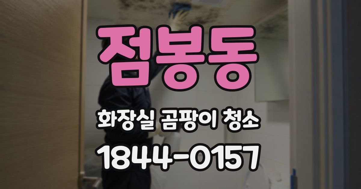 점봉동 화장실 곰팡이 청소