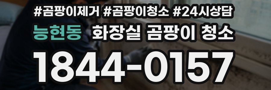 능현동 화장실 곰팡이 청소