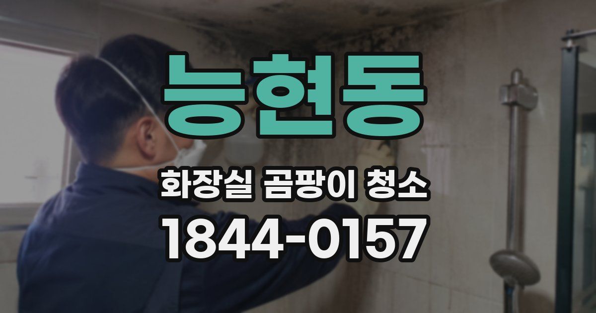 능현동 화장실 곰팡이 청소
