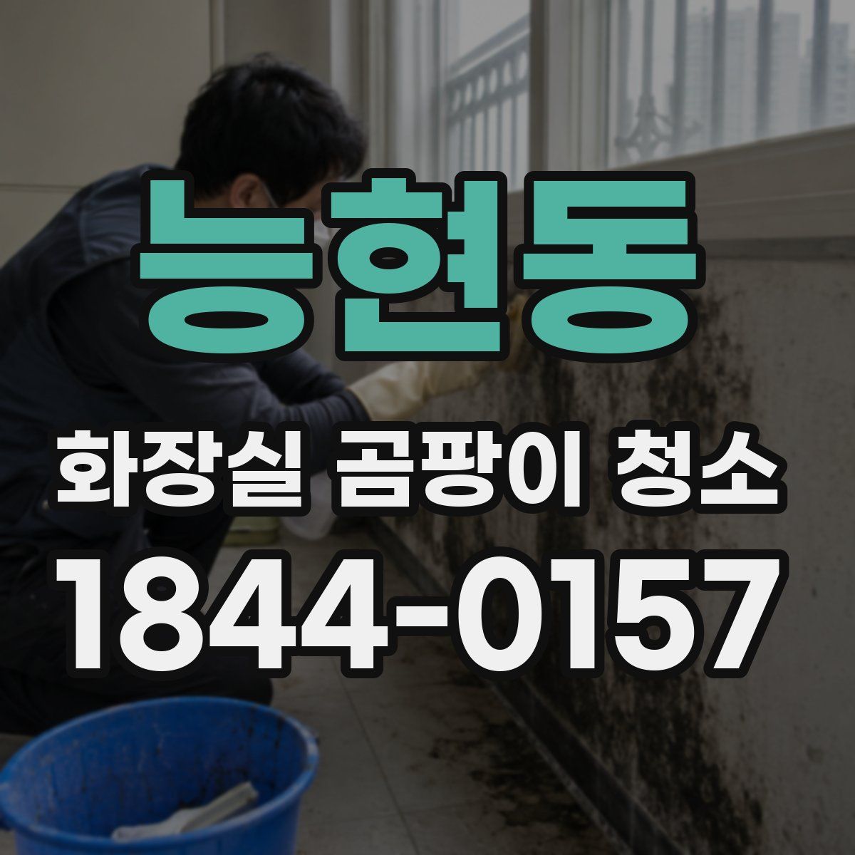 능현동 화장실 곰팡이 청소