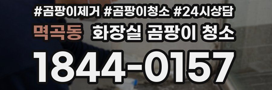 멱곡동 화장실 곰팡이 청소