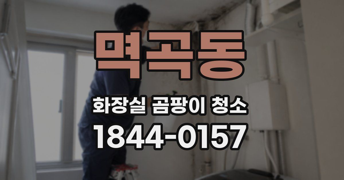 멱곡동 화장실 곰팡이 청소