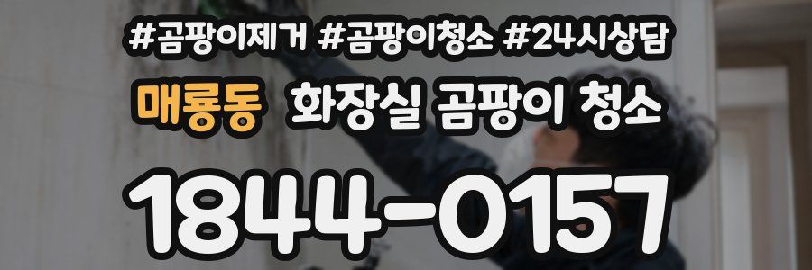 매룡동 화장실 곰팡이 청소